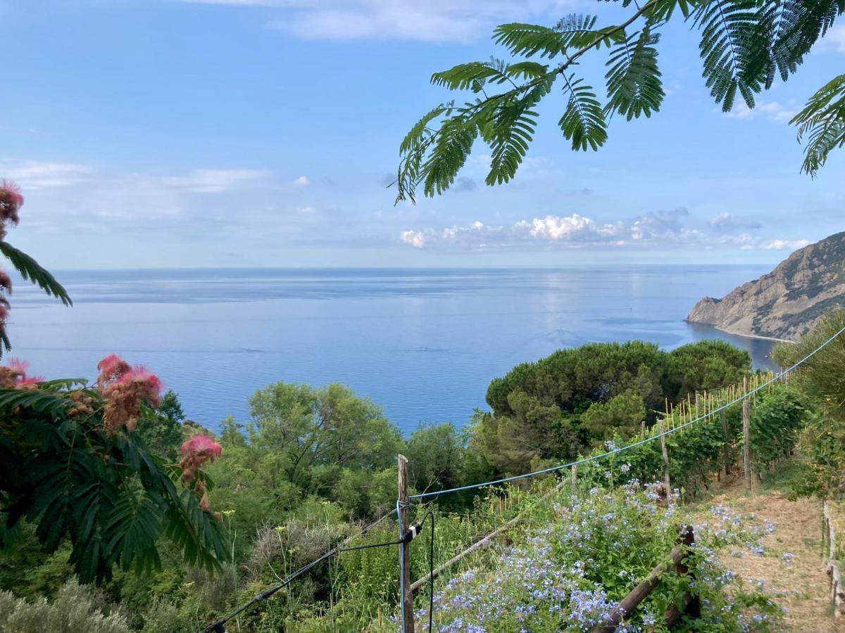 Villa Pietrafiore มอนเตรอสโซ อัล มาเร ภายนอก รูปภาพ