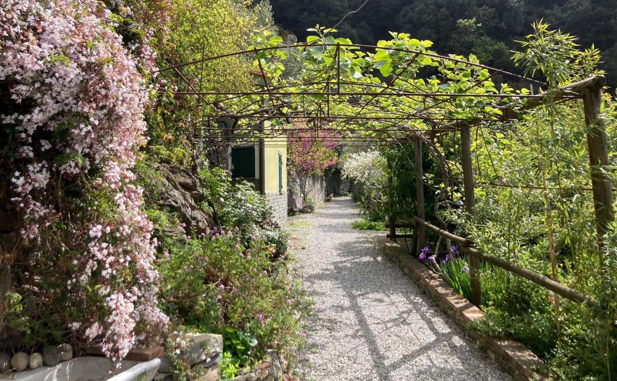Villa Pietrafiore มอนเตรอสโซ อัล มาเร ภายนอก รูปภาพ