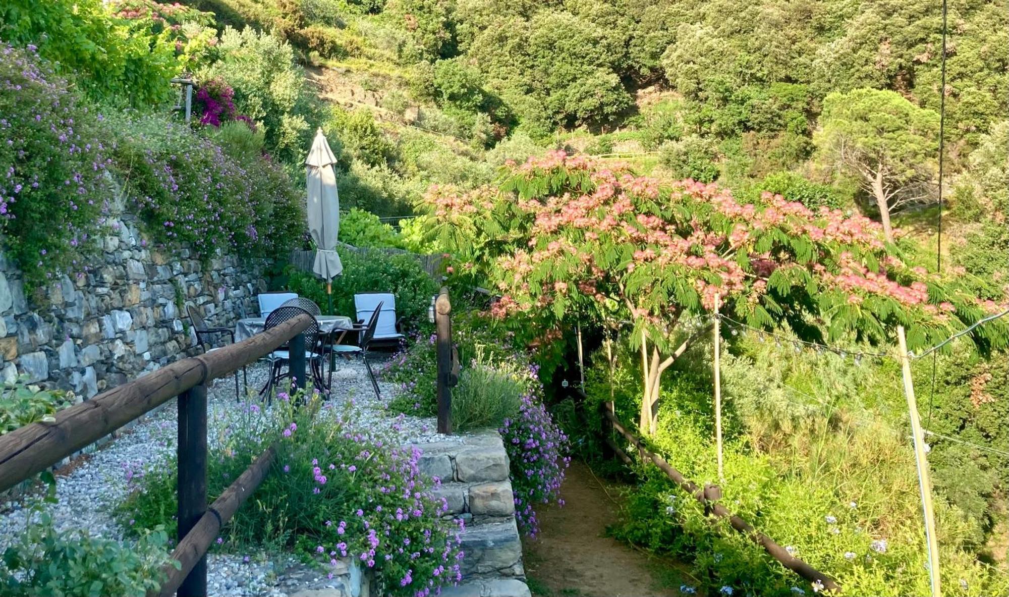 Villa Pietrafiore มอนเตรอสโซ อัล มาเร ภายนอก รูปภาพ