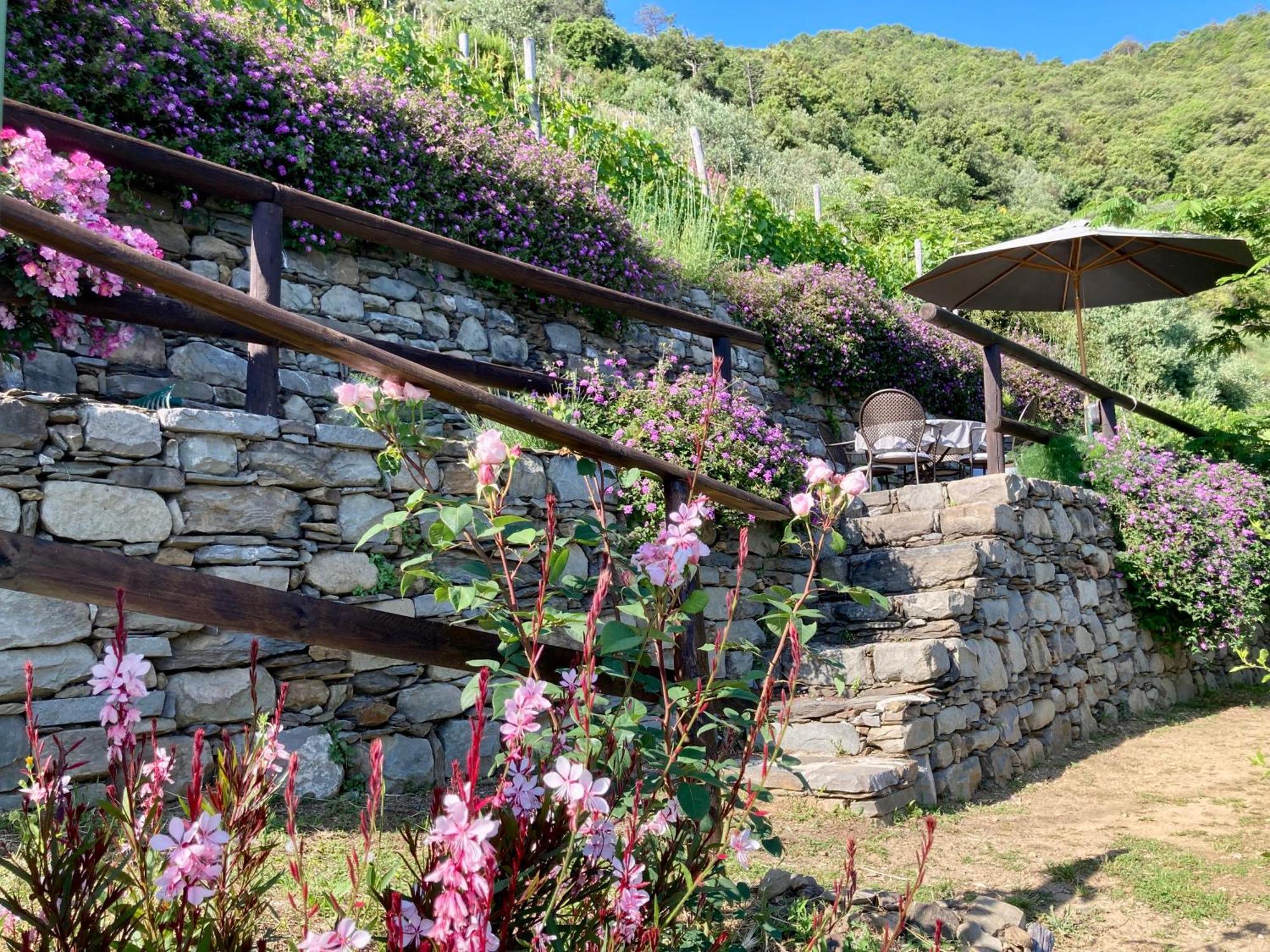 Villa Pietrafiore มอนเตรอสโซ อัล มาเร ภายนอก รูปภาพ