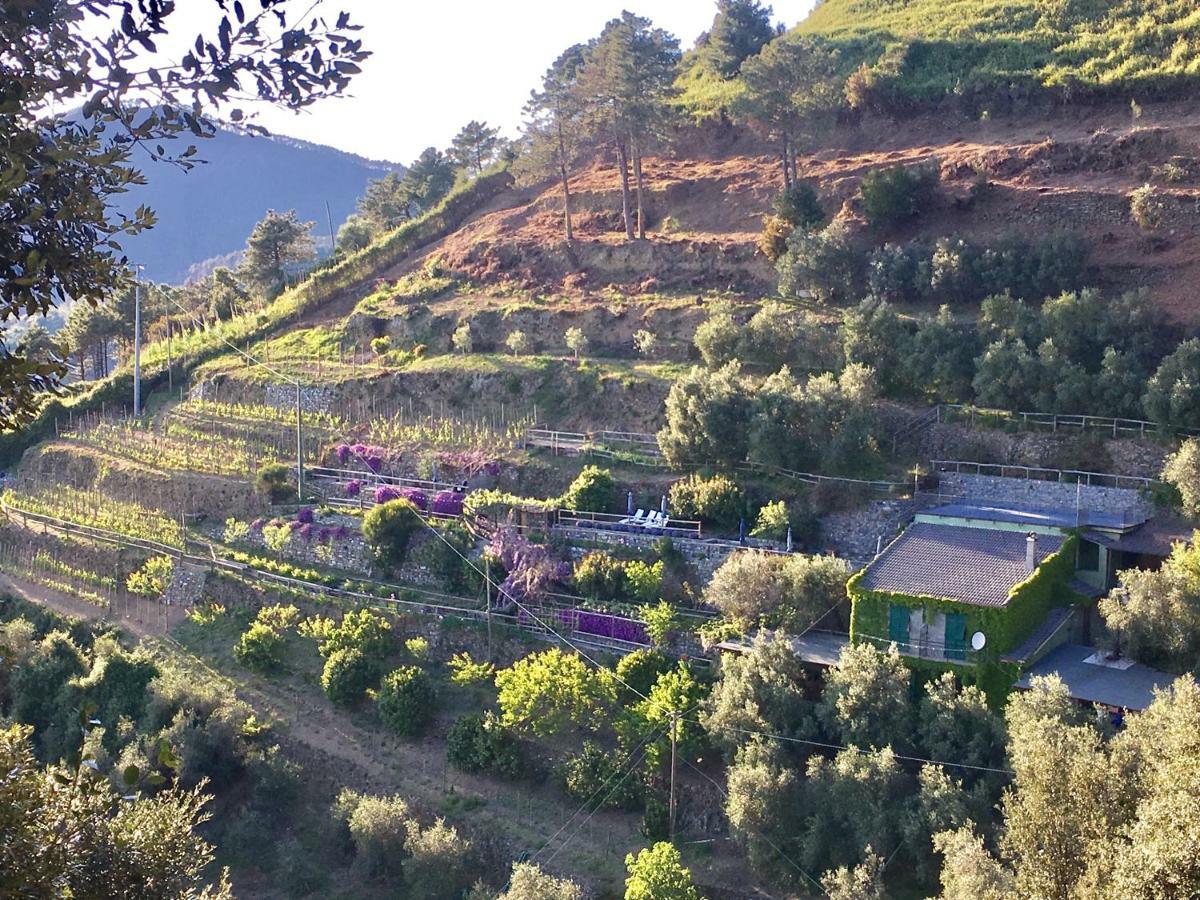 Villa Pietrafiore มอนเตรอสโซ อัล มาเร ภายนอก รูปภาพ